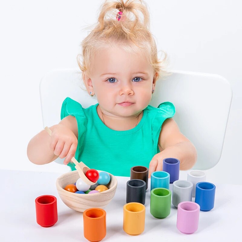 Montessori Wooden Sorting and Matching Game