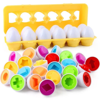 Montessori Sorting Egg Toy
